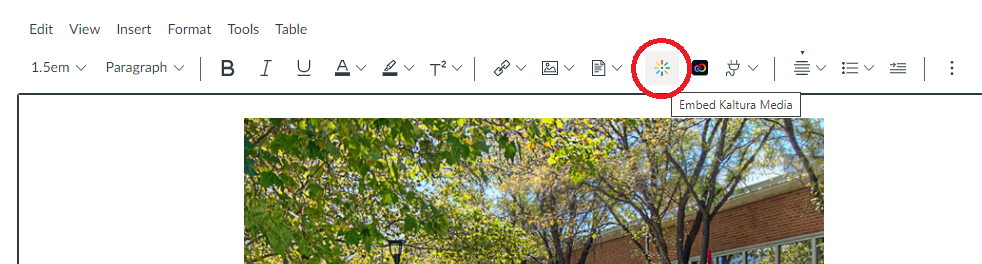 Screenshot of the location of the Embed Kaltura Media tool in the Canvas page editor